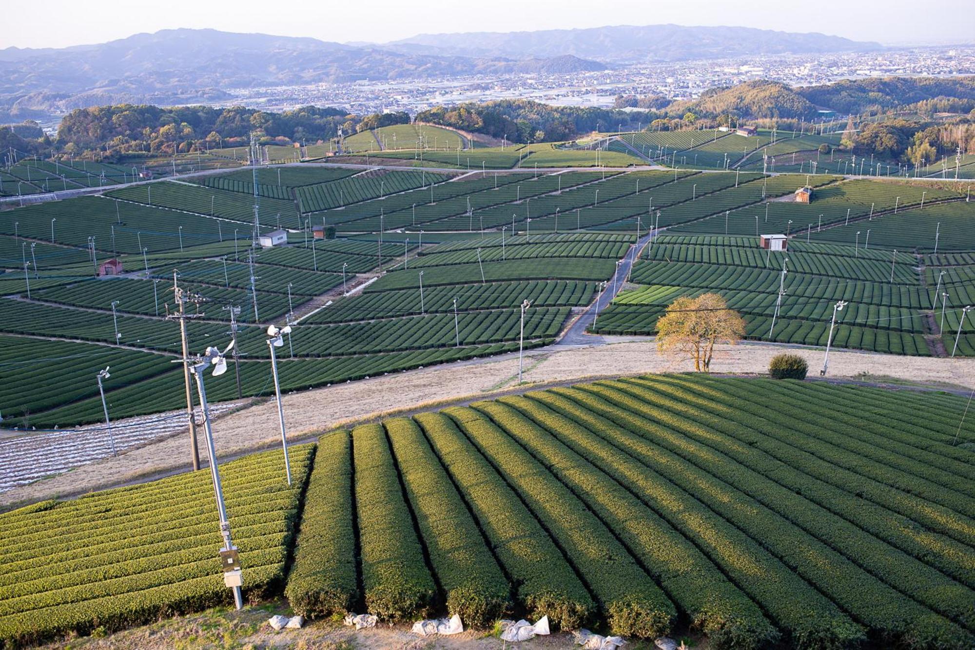 Nipponia Hotel Yamefukushima Merchant Town Tagawa 外观 照片